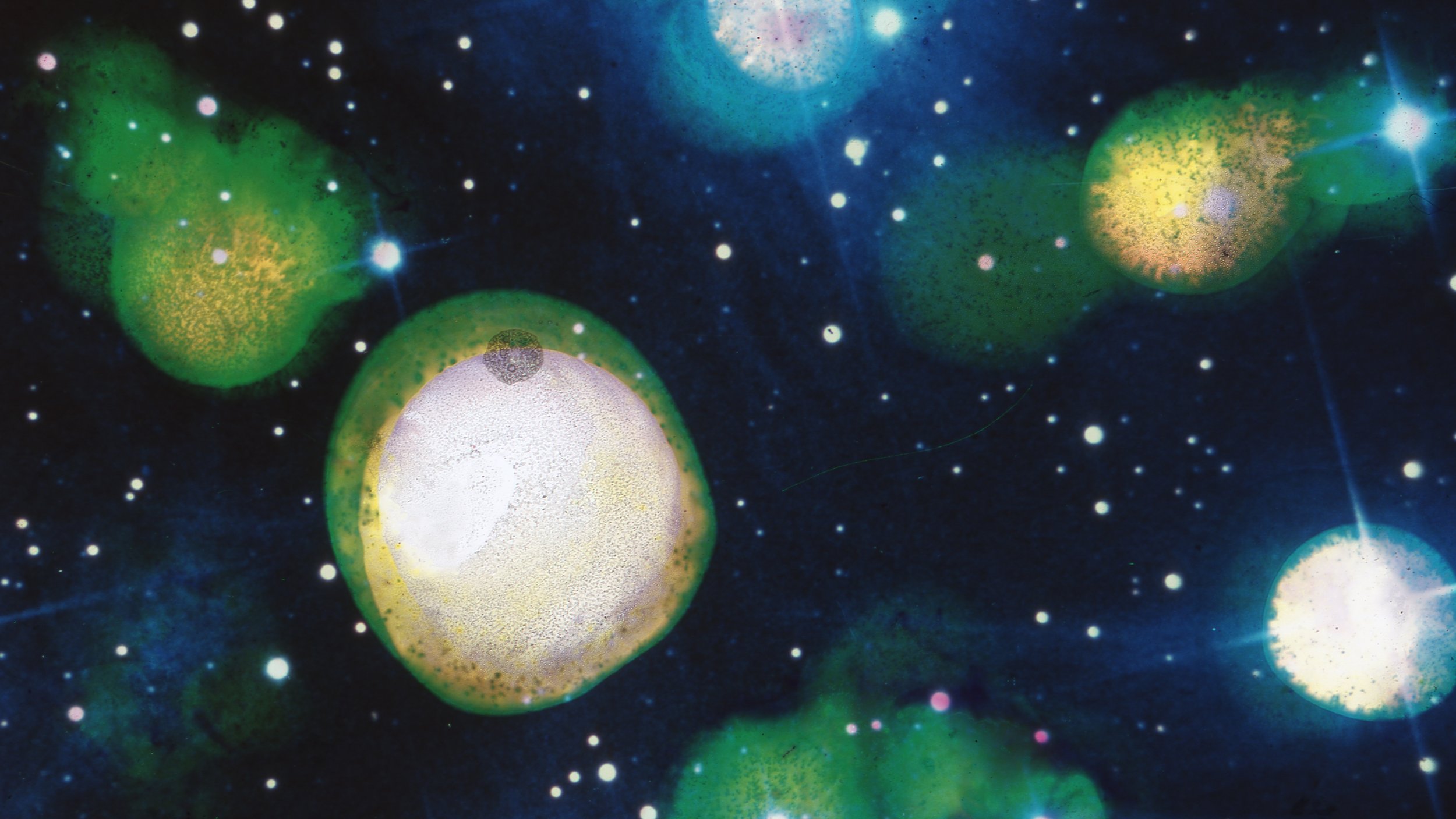 Krista Leigh Steinke:   Particles in a Light Beam