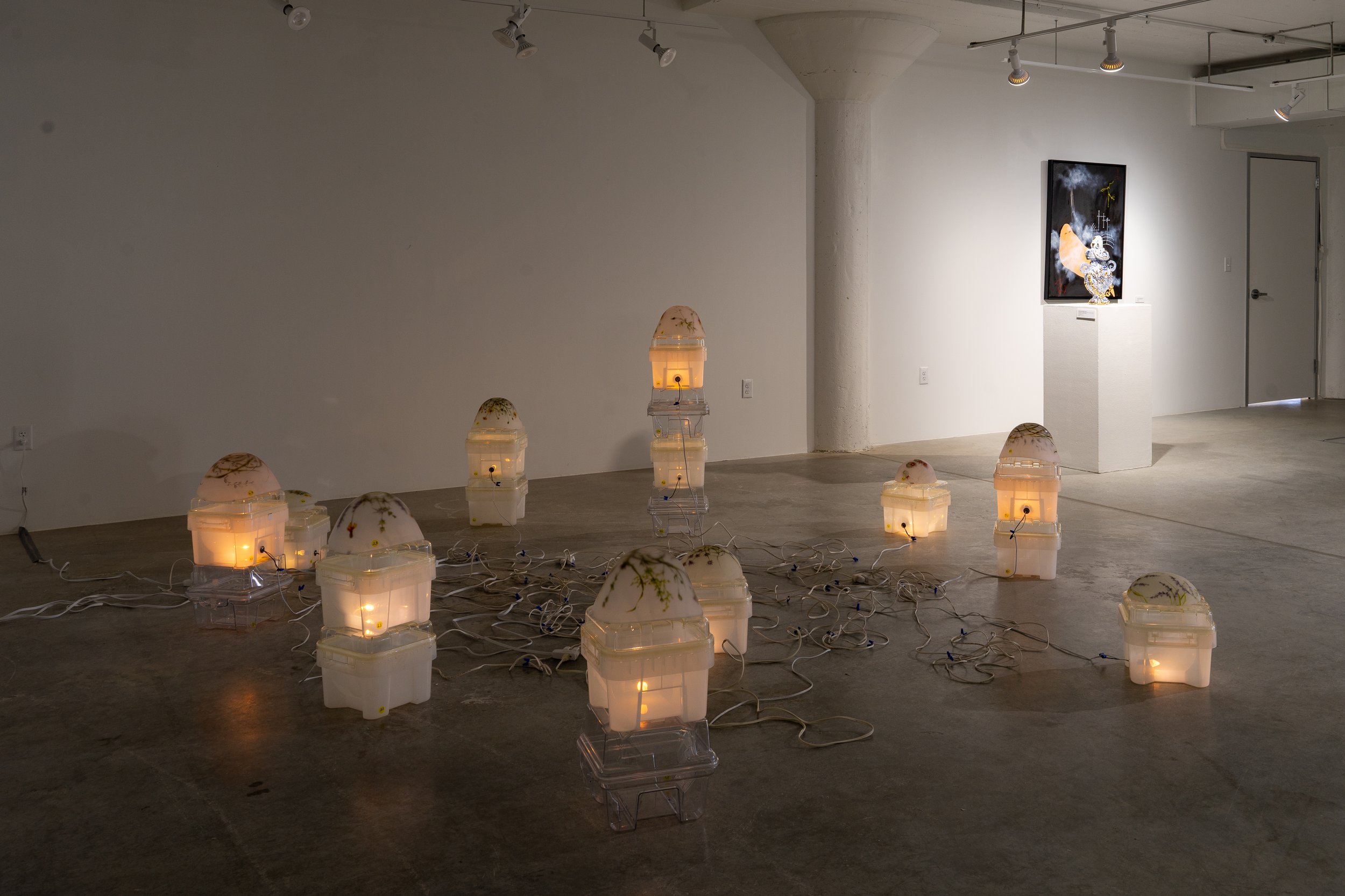 Guided Tour | Winter St &amp; Silos